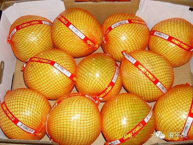 吃貨的福音 今冬平湖水果市場(chǎng)柚子量大價(jià)廉