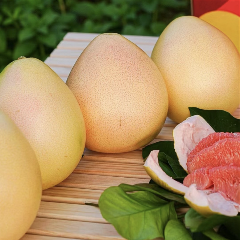 廣西容縣沙田柚 自家果園直供，品質(zhì)正宗，批發(fā)價(jià)3.50元/斤