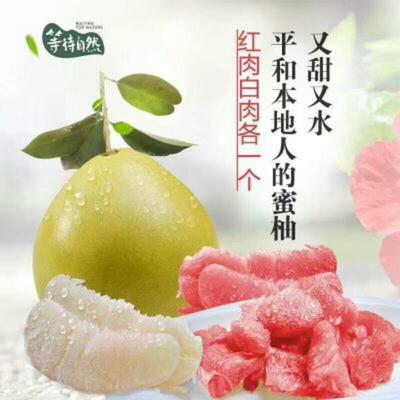 湖北宜昌秭歸縣柚子 沙田柚批發(fā)市場(chǎng)探析，0.60元/斤的價(jià)格優(yōu)勢(shì)與品質(zhì)保障