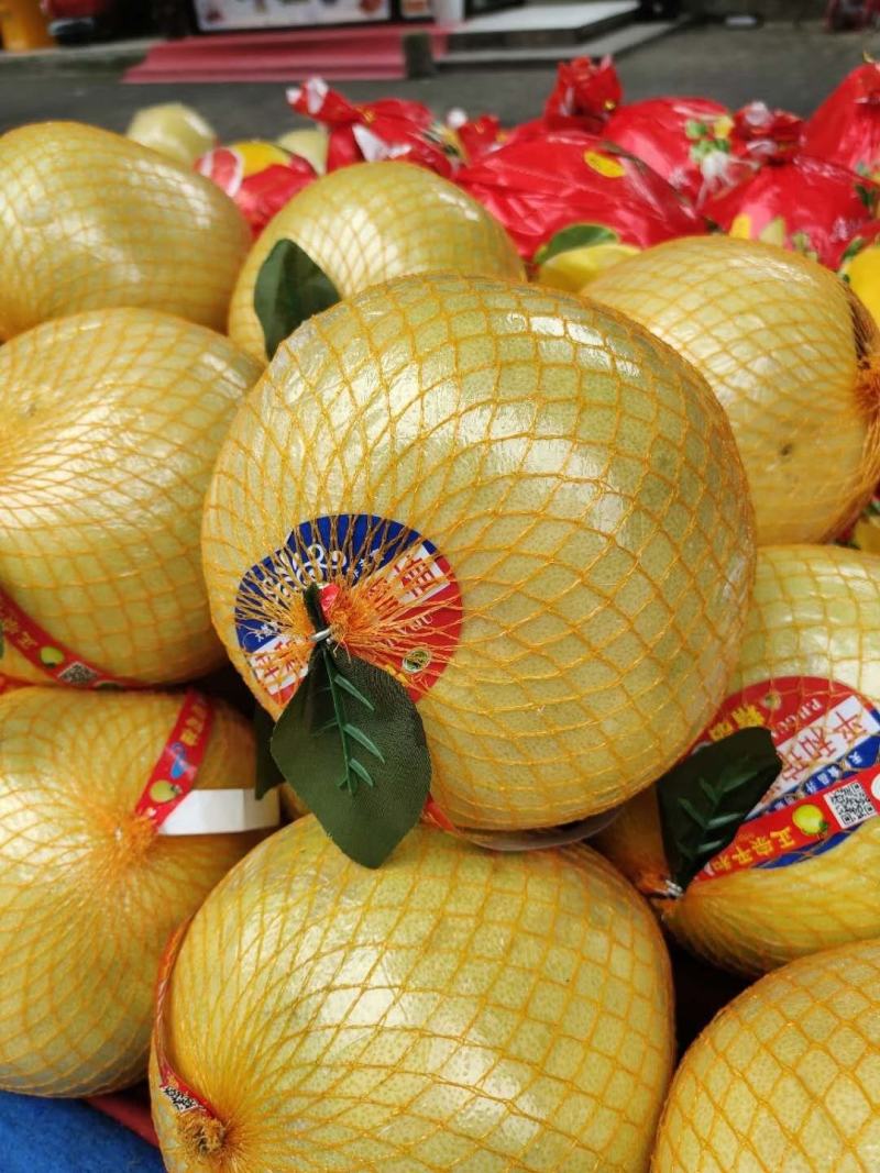 湖北宜昌西陵區白心蜜柚 產地直供，品質優價格美